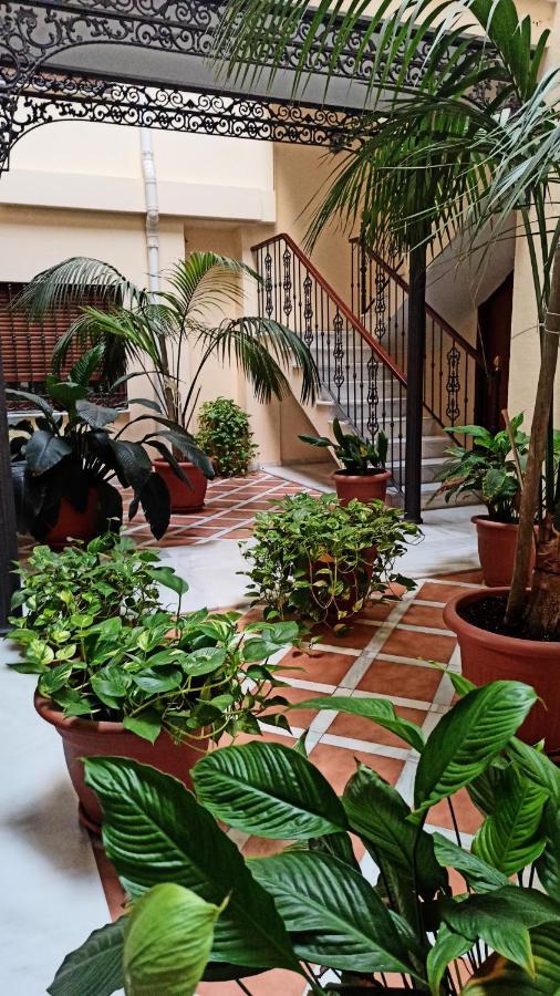 Botanic Suite Malaga Exterior photo